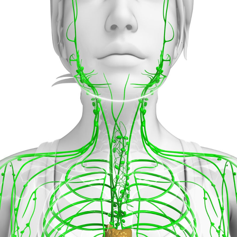 lymphatic drainage treatment